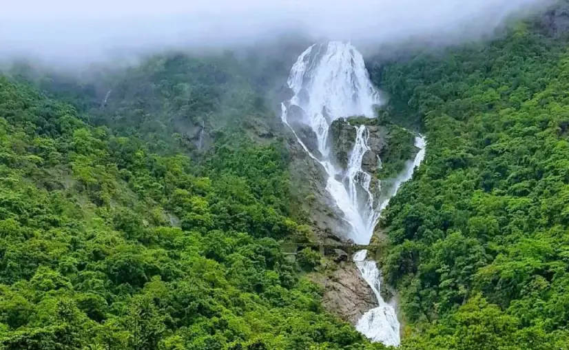 dudhsagar-falls-south-goa-tour