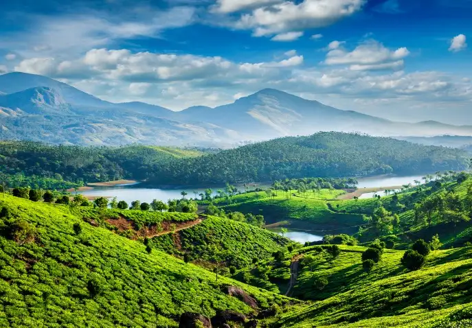 munnar-kerala-hill-station-tour