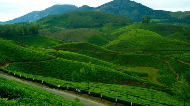 munnar-kerala-tour-package-from-bhubaneswar