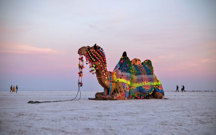 rann-of-kutch-gujurat-tour-package-bhubaneswar