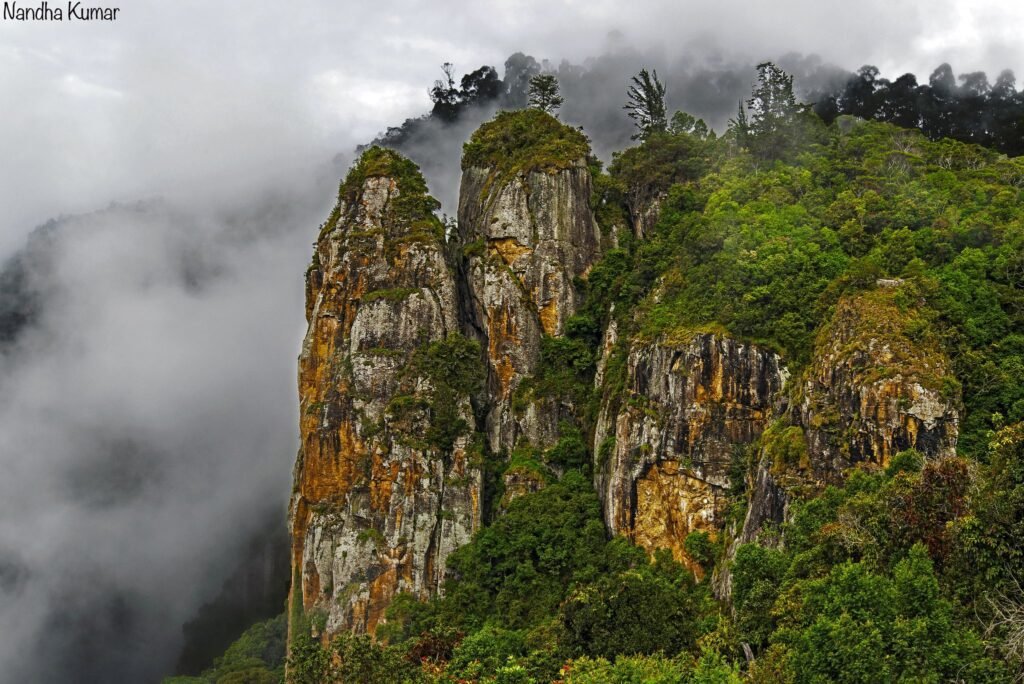kodaikanal-tamilnadu-tour-package-from-bhubaneswar