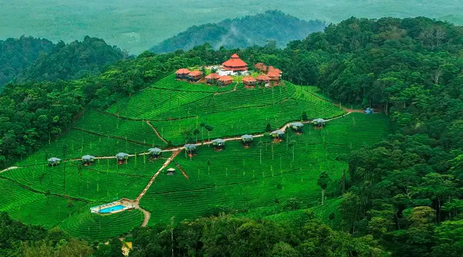 Mysore & Coorg Tour from Odisha – Royal Palaces & Coffee Plantations