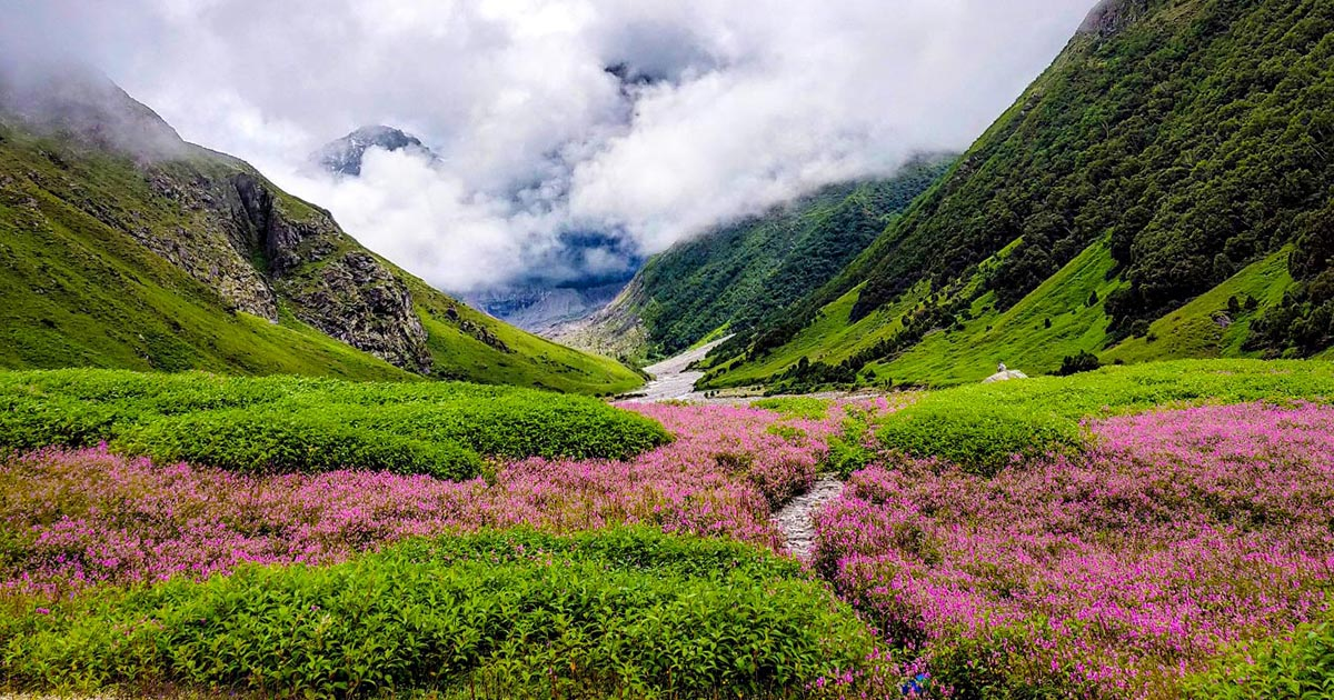 Nainital Mussoorie hill station tour from Odisha