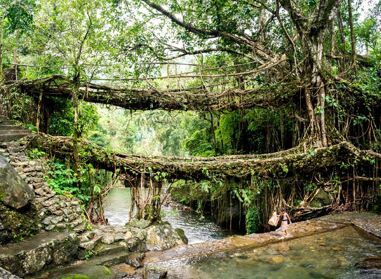 4-day Shillong short tour from Bhubaneswar