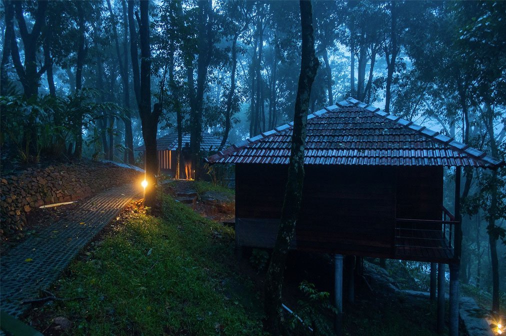 Wayanad Green Hills & Forest Retreat – Monsoon hill escape from Bhubaneswar Odisha